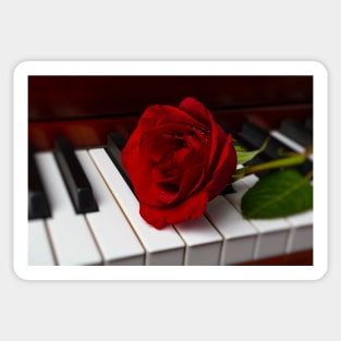 Romantic Red Rose With Dew Sticker